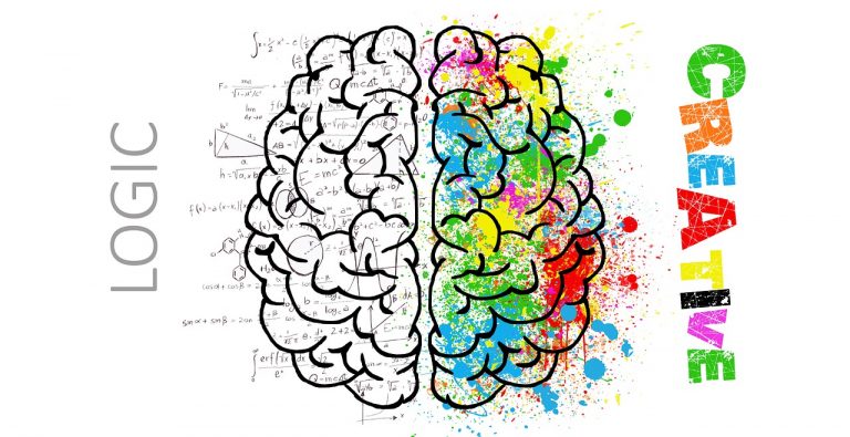 coloured brain illustration